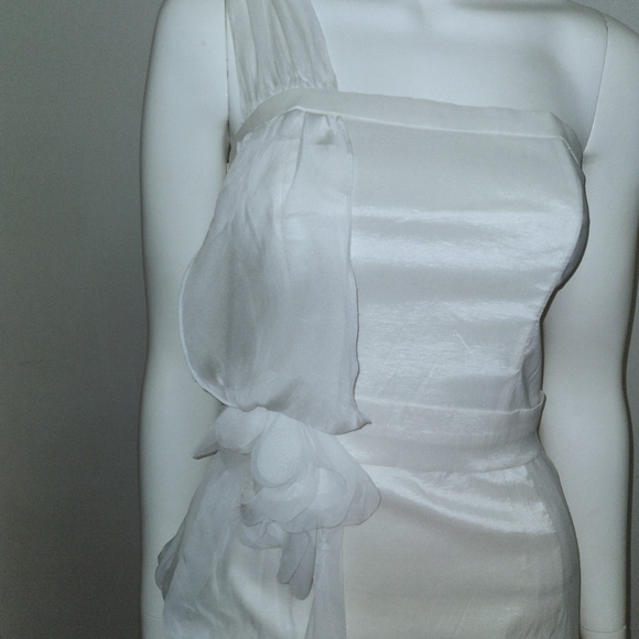 SEXY and ROMANTIC JESSICA MCCLINTOCK DRESS - Picture 2 of 7